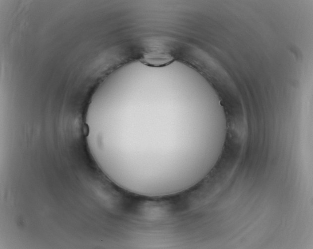 X0000113610556200910161932