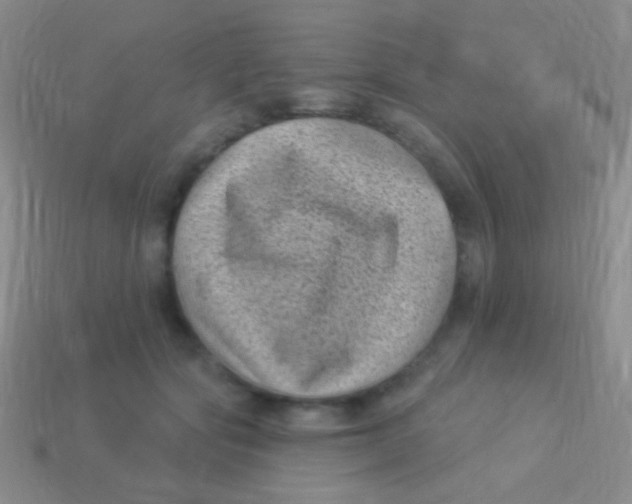 X0000113610557200910161932