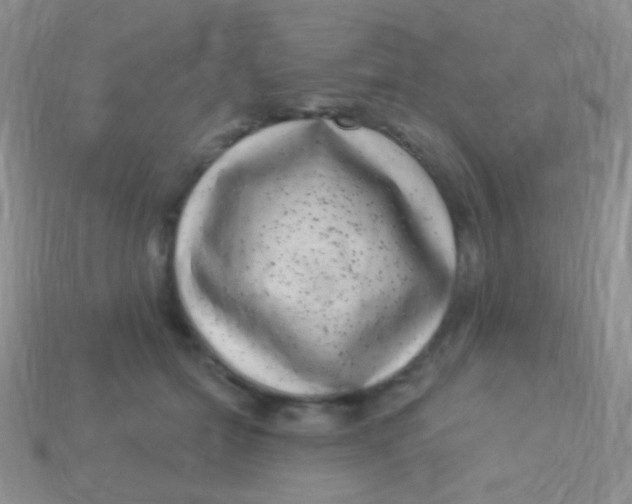 X0000113610558200910161932