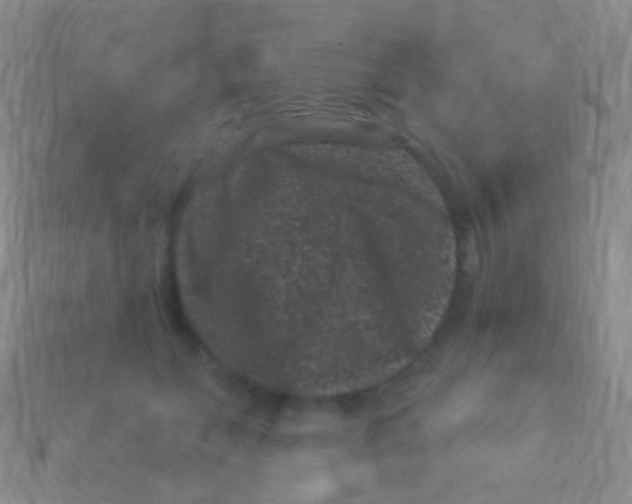 X0000113610559200910161932