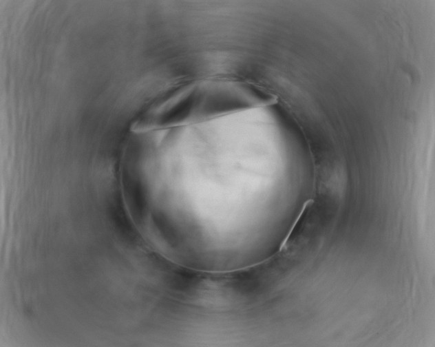 X0000113610560200910161932