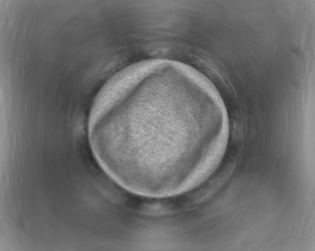 X0000113610561200910161932