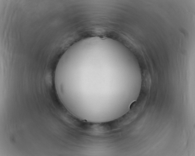 X0000113610562200910161932