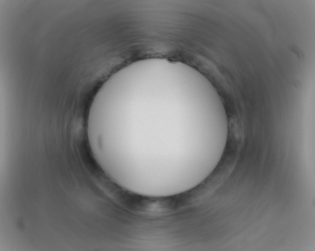 X0000113610564200910161932