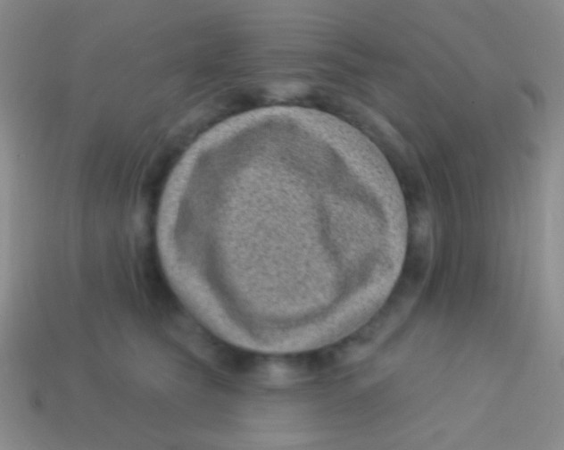 X0000113610565200910161932