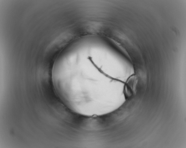 X0000113610566200910161932