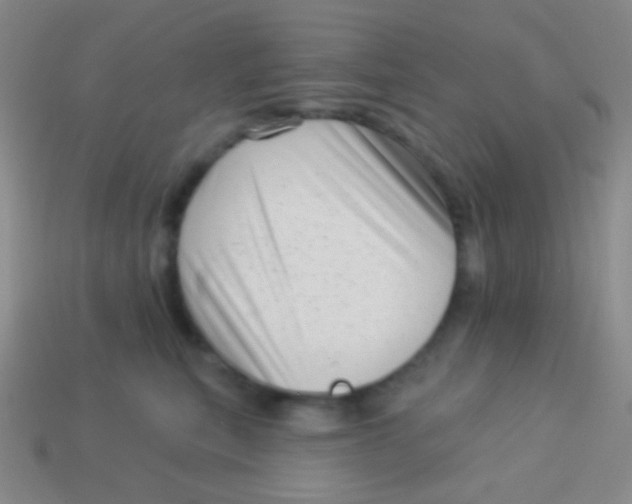 X0000113610567200910161932