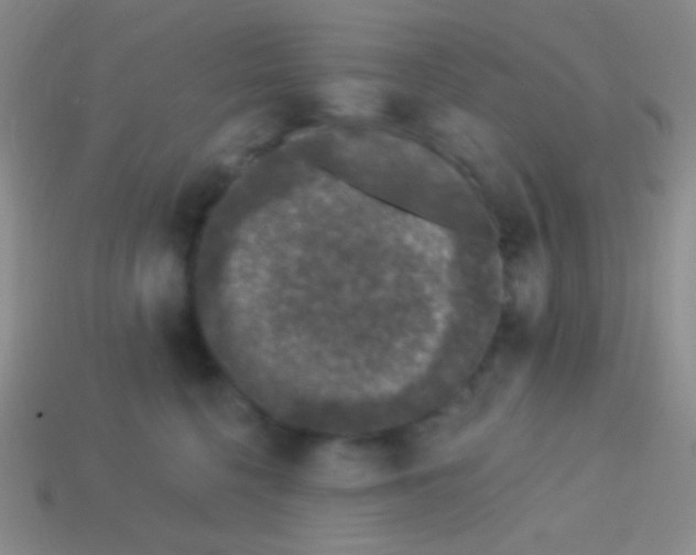 X0000113610568200910161932