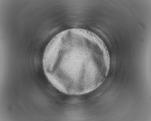 X0000113610569200910161932