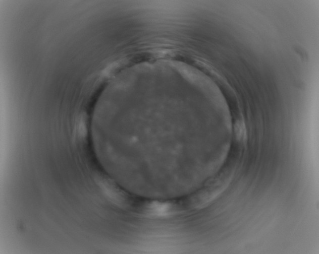 X0000113610570200910161932