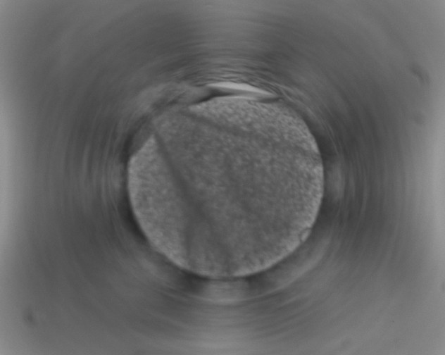 X0000113610571200910161932