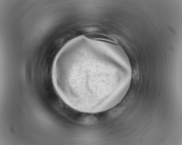 X0000113610572200910161932