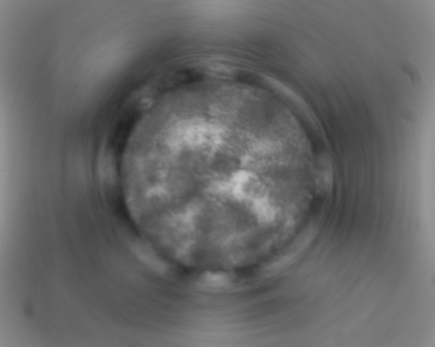 X0000113610573200910161932