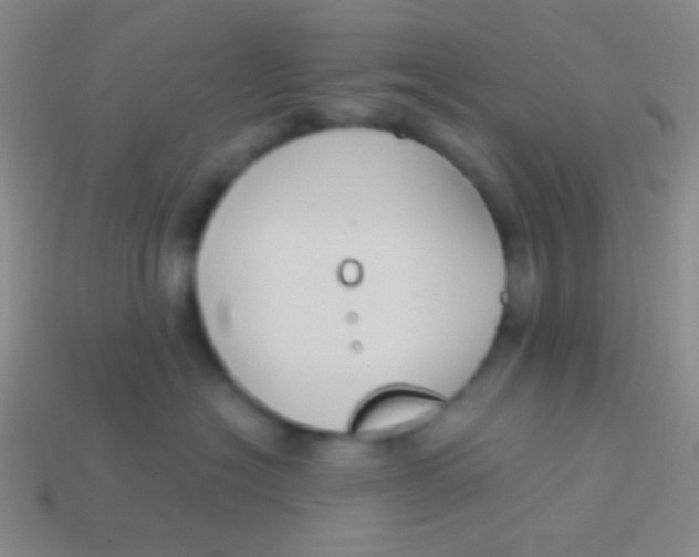 X0000113610574200910161932