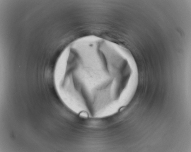 X0000113610575200910161932