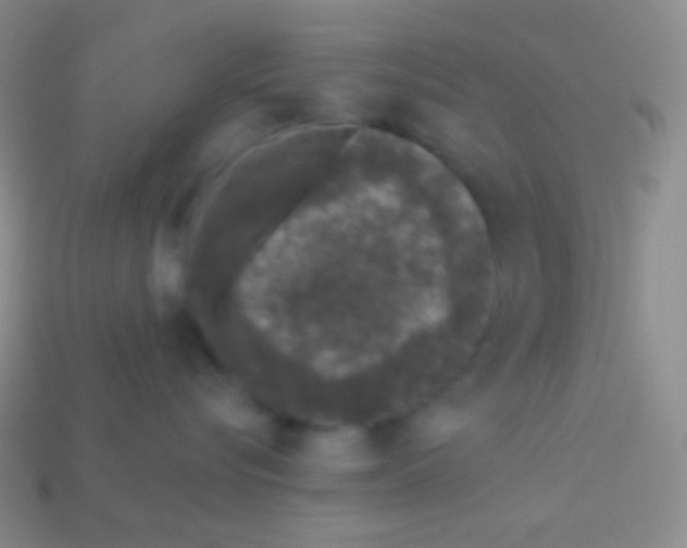 X0000113610576200910161932