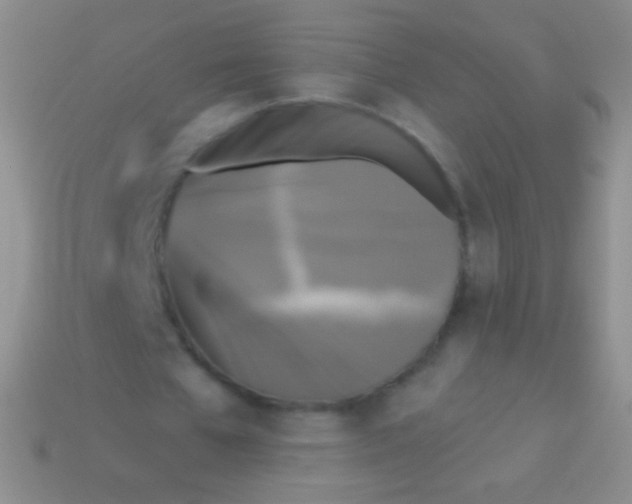 X0000113610577200910161931