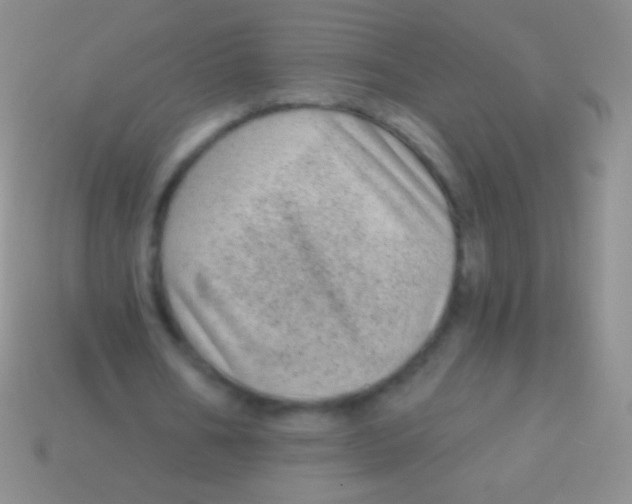 X0000113610578200910161931