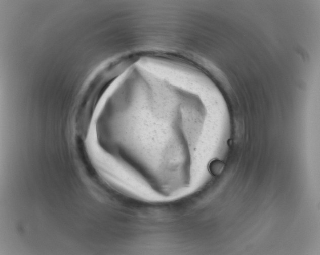 X0000113610580200910161931