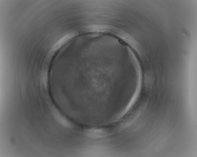 X0000113610581200910161931