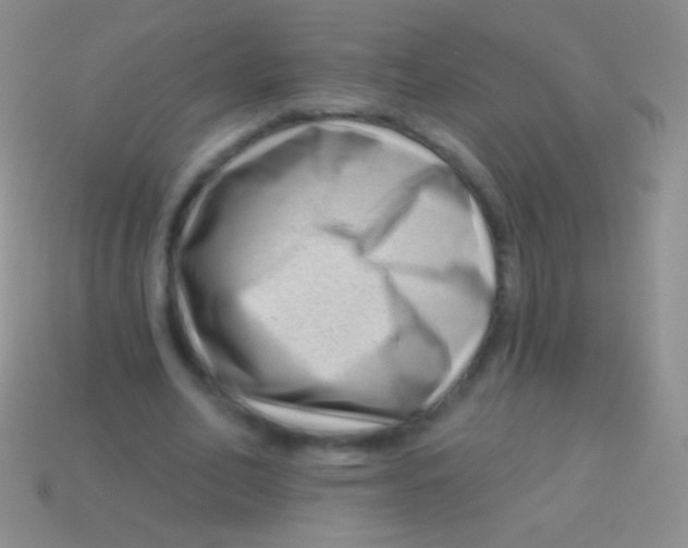 X0000113610582200910161931