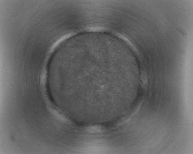 X0000113610583200910161931