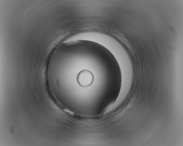 X0000113610585200910161931