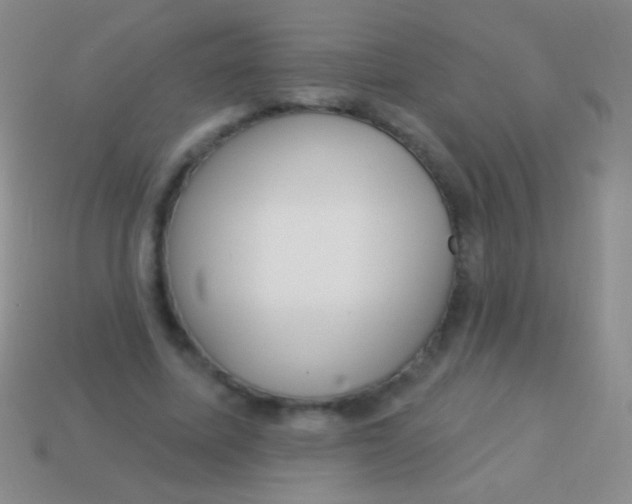 X0000113610587200910161931