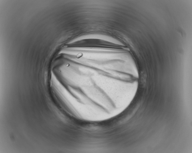 X0000113610589200910161931