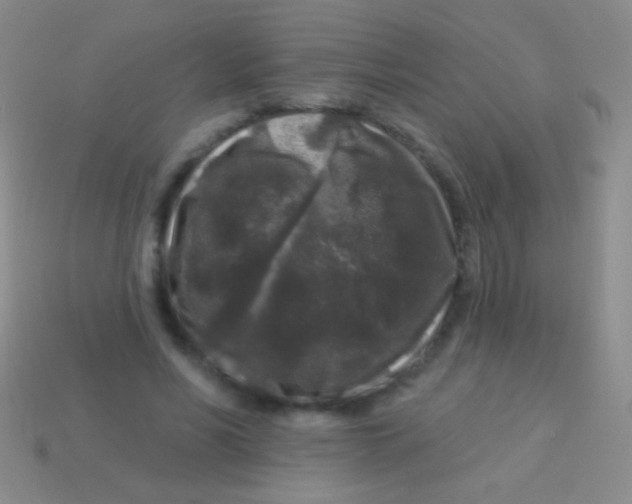 X0000113610590200910161931