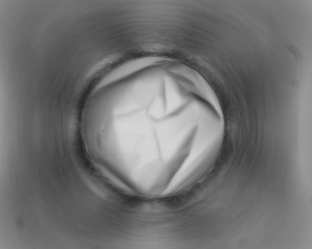 X0000113610591200910161931