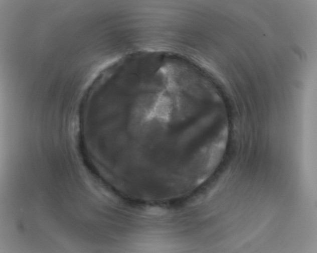 X0000113610592200910161931