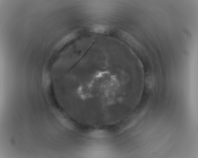 X0000113610593200910161931