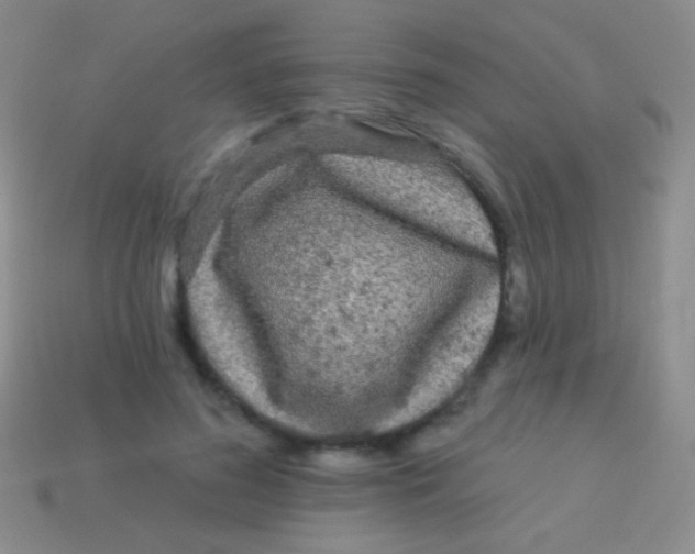 X0000113610596200910161931