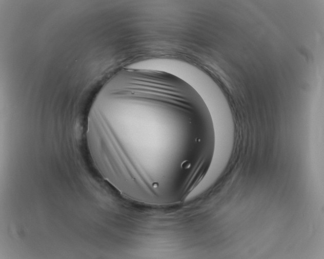 X0000113610597200910161931