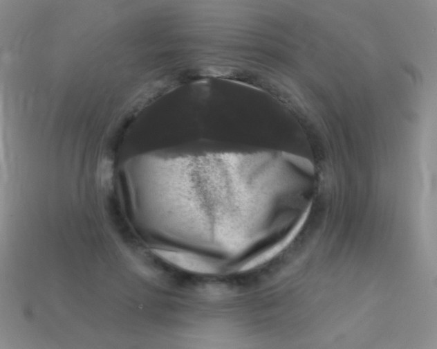 X0000113610598200910161931