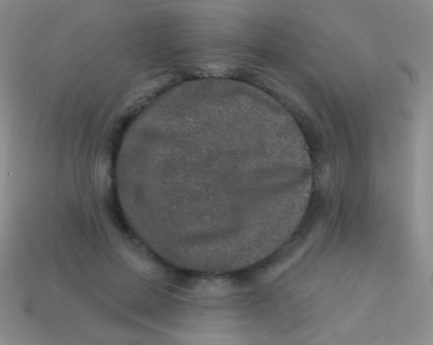 X0000113610599200910161931