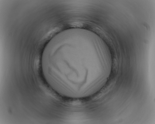 X0000113610600200910161931