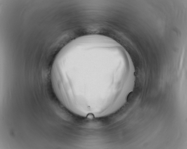 X0000113610601200910161931