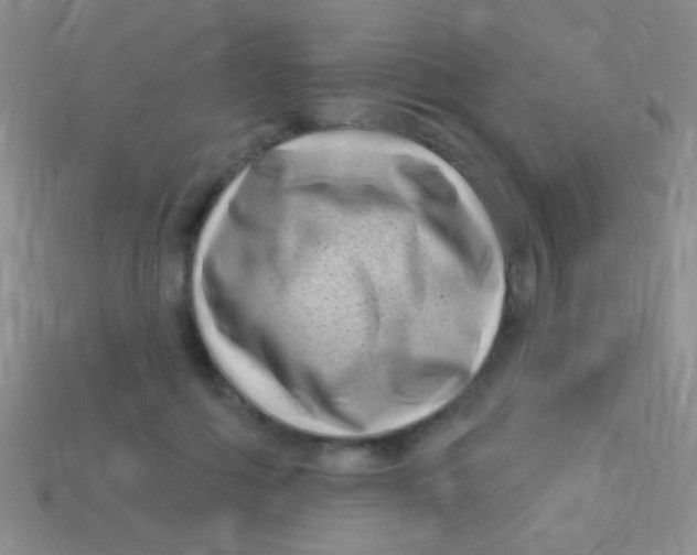 X0000113610602200910161931