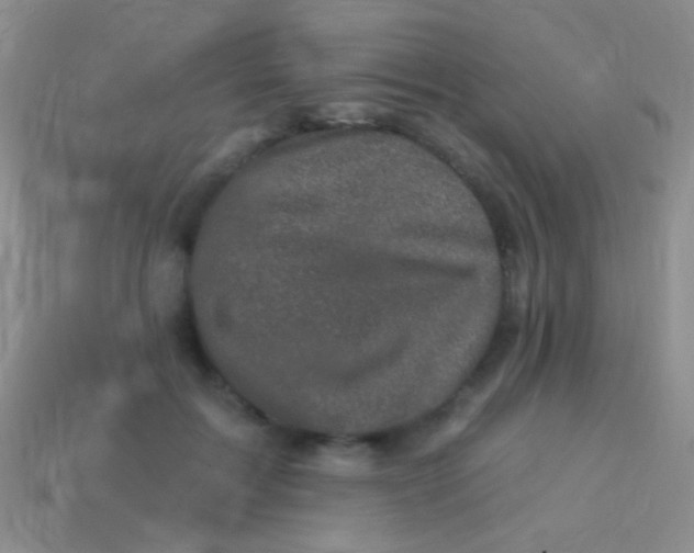 X0000113610603200910161931