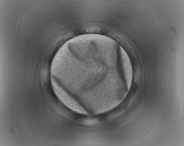 X0000113610604200910161931