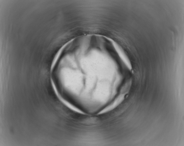 X0000113610609200910161931