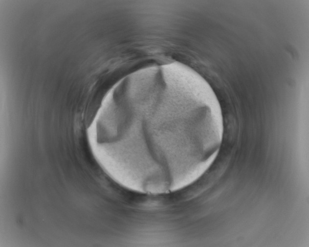 X0000113610612200910161931