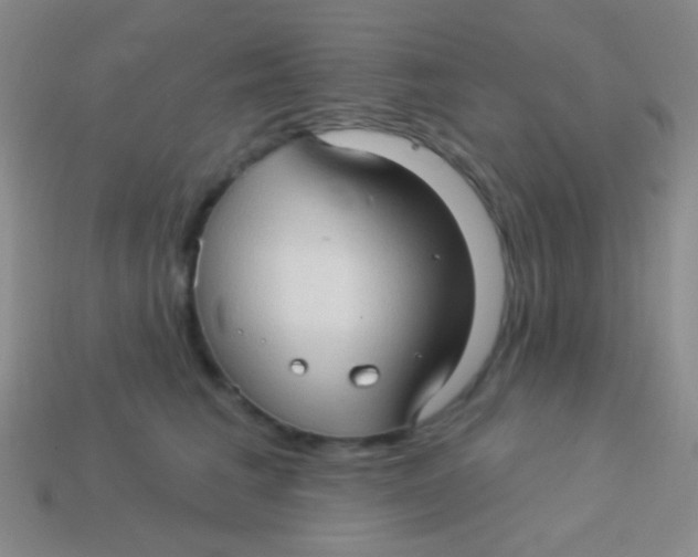 X0000113610613200910161931