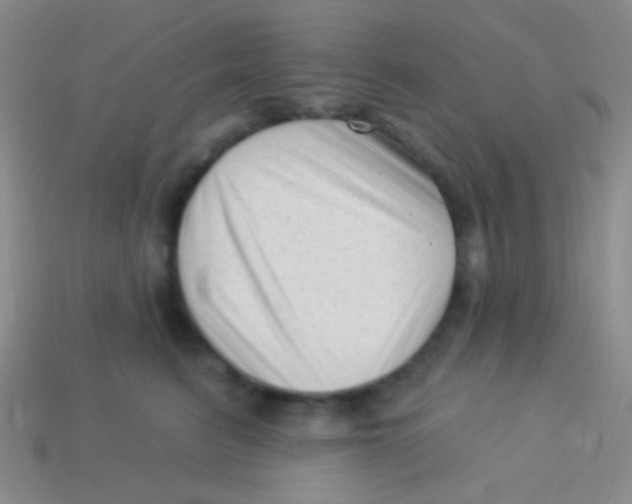 X0000113610615200910161931