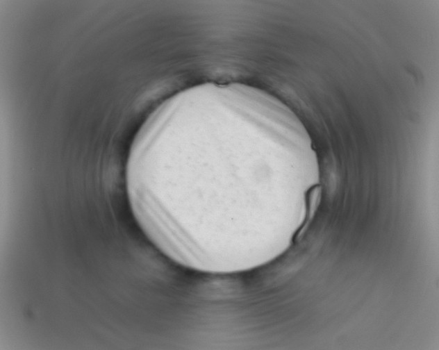 X0000113610619200910161931