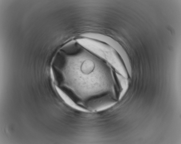 X0000113610621200910161931