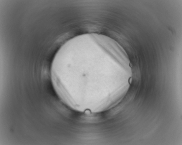 X0000113610622200910161931