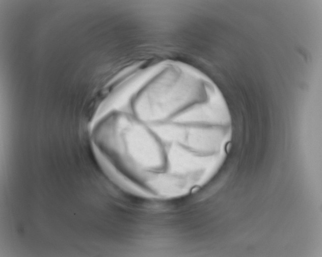 X0000113610624200910161931